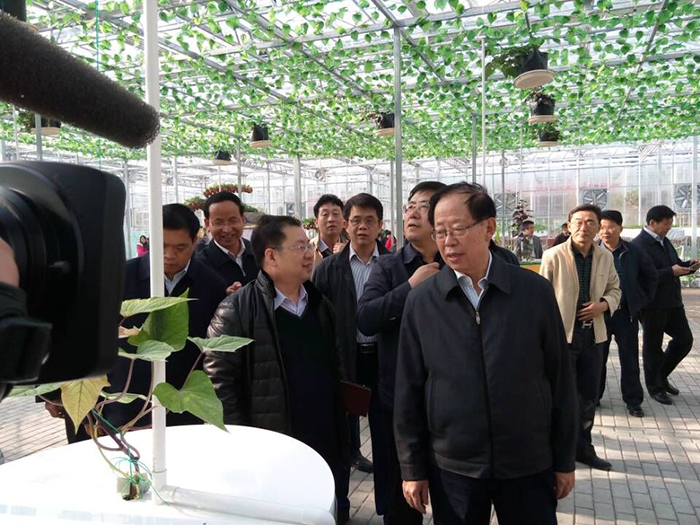 03廣西壯族自治區(qū)人大常委會副主任、時任廣西壯族自治區(qū)黨委副書記危朝安視察廣西玉林”五彩田園“農(nóng)業(yè)嘉年華.jpg