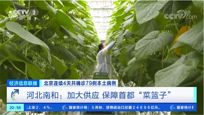 產(chǎn)業(yè)集群-16.png