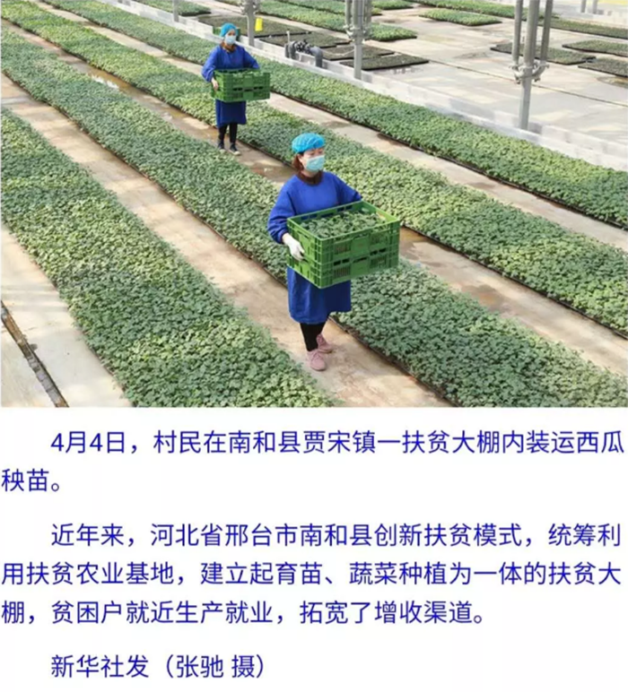 產(chǎn)業(yè)集群-18.png