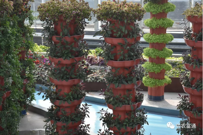 水漾年華-6.png