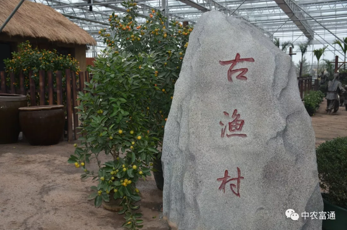 水漾年華-12.png