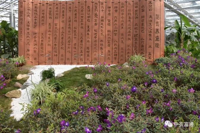 水漾年華-15.png