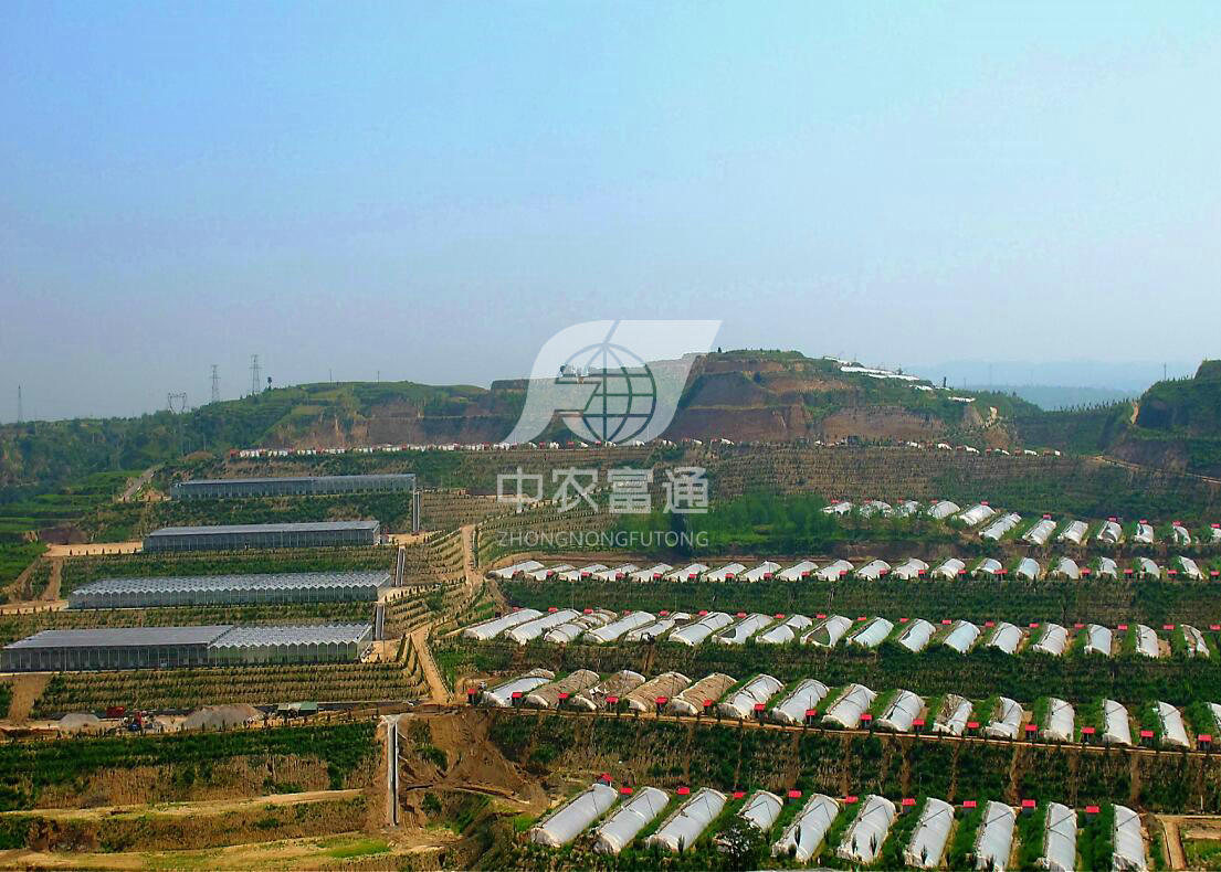 保德繁莊塔示范園_中農(nóng)富通