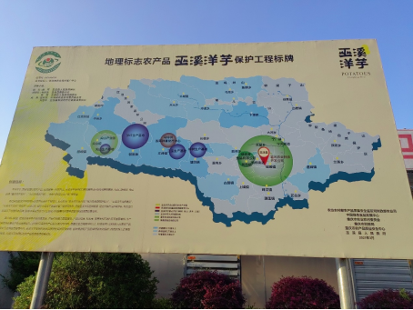 區(qū)域產(chǎn)業(yè)規(guī)劃